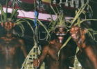2003_4